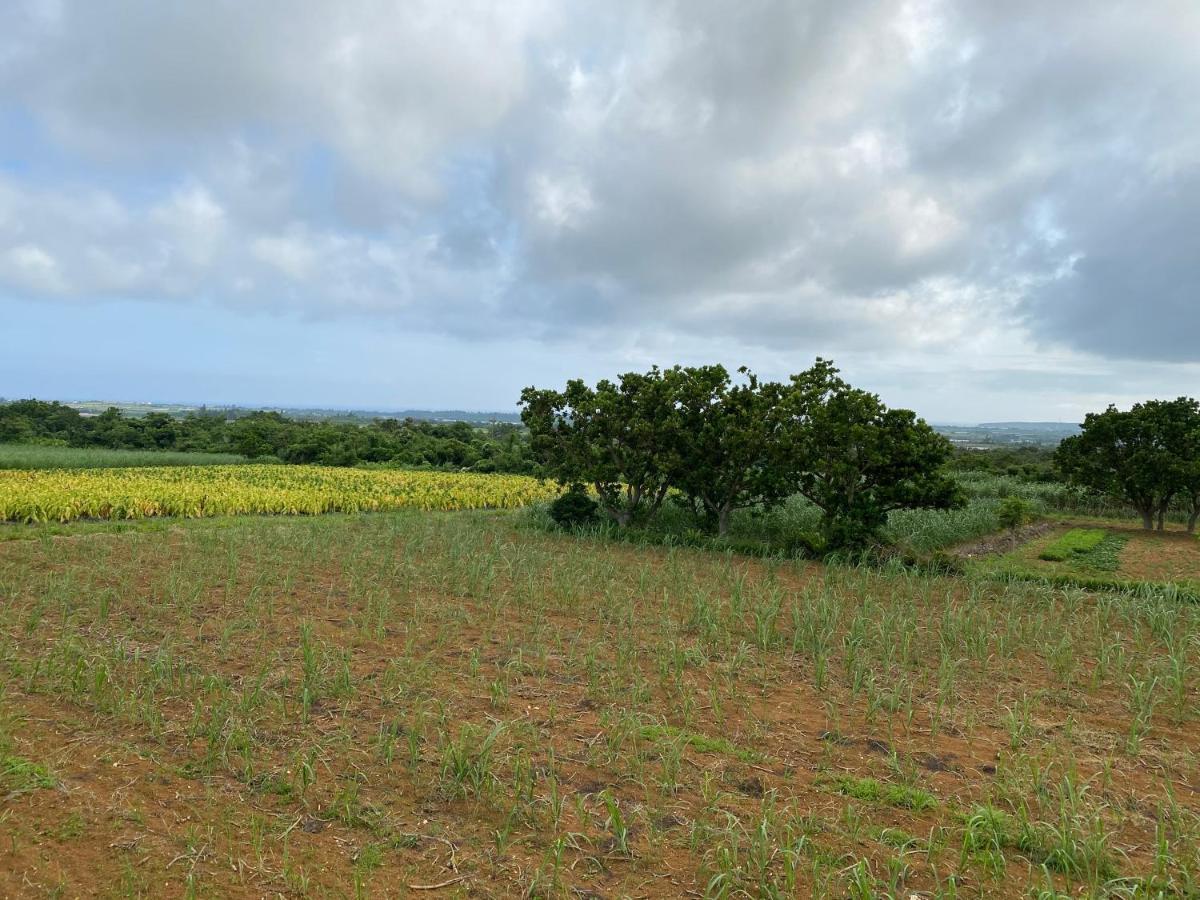 スターハウス宮古島 Miyakojima (Okinawa) Exterior foto